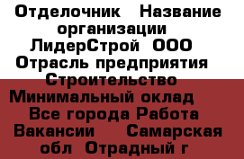 Отделочник › Название организации ­ ЛидерСтрой, ООО › Отрасль предприятия ­ Строительство › Минимальный оклад ­ 1 - Все города Работа » Вакансии   . Самарская обл.,Отрадный г.